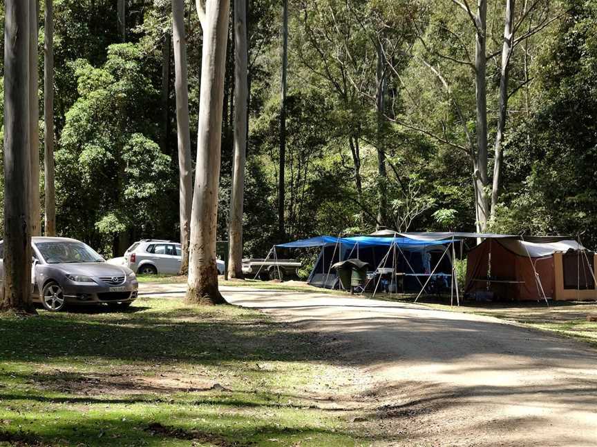 Chichester State Forest - Telegherry River, Upper Allyn, NSW