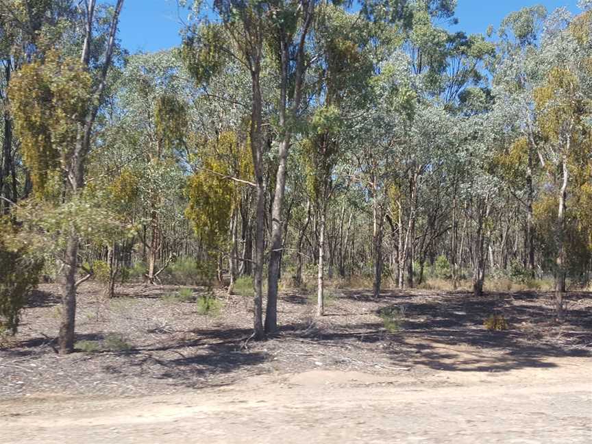 Reef Hills State Park, Benalla, VIC