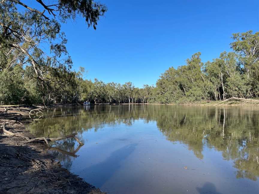 Barmah National Park, Barmah, VIC