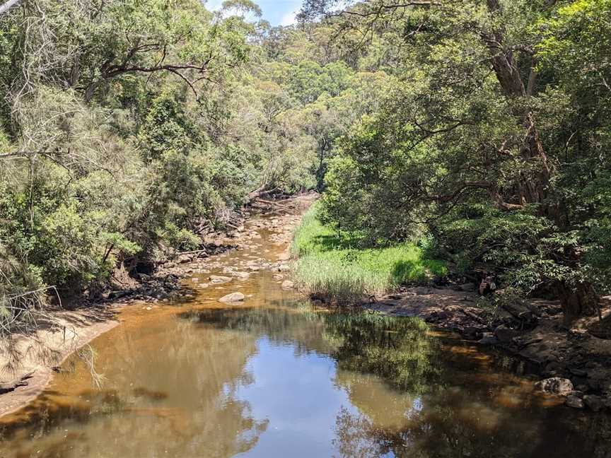 Piles Creek loop, Somersby, NSW