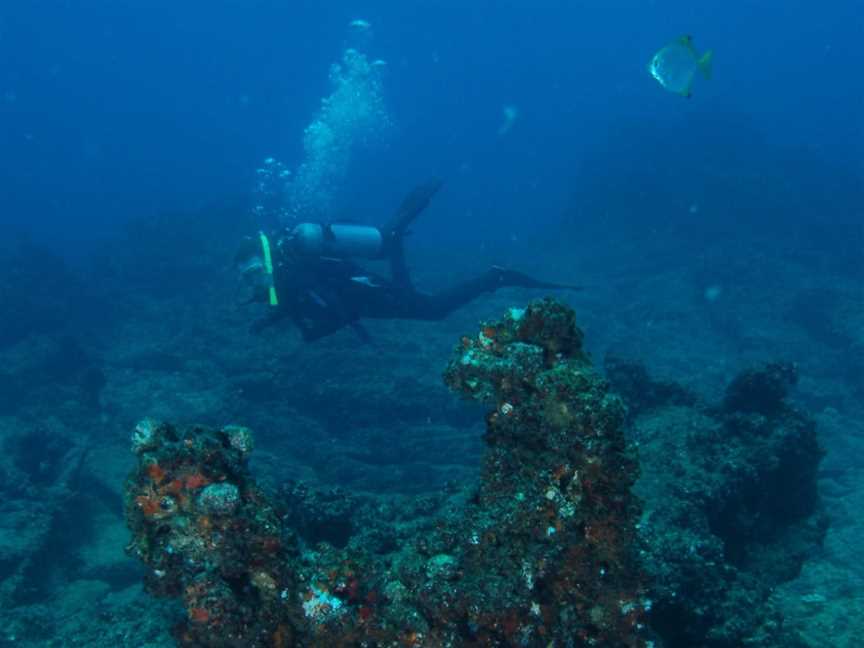 Marietta Dal Shipwreck Dive Site, Moreton Island, QLD