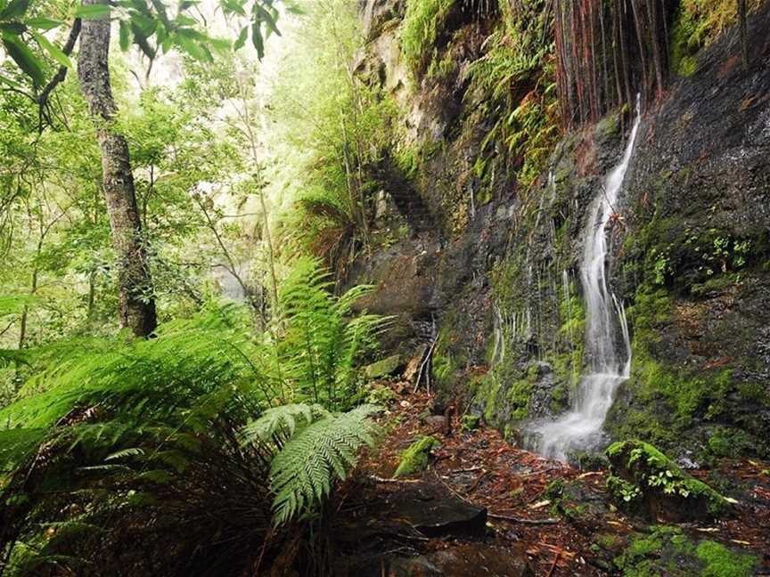 Fairy Bower Falls, Bundanoon, NSW