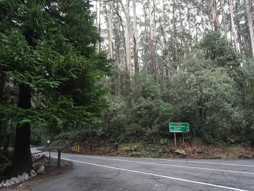 Mt Donna Buang, Warburton, VIC