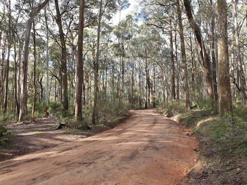 Mount Samaria State Park, Bridge Creek, VIC