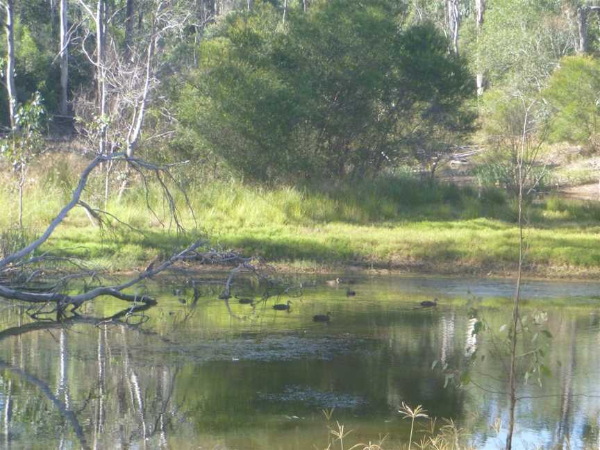Nanango Fauna Reserve, Nanango, QLD