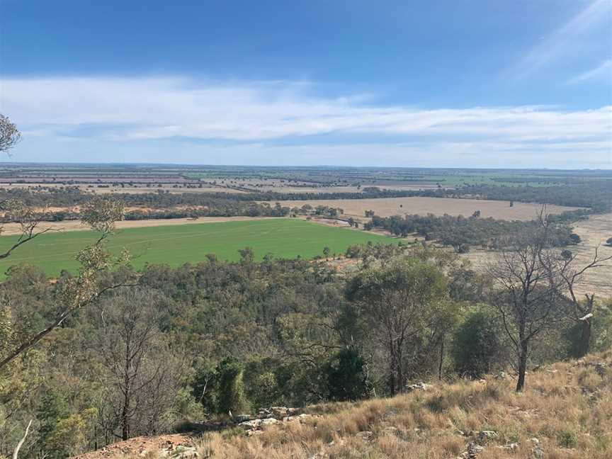 Mount Tilga, Condobolin, NSW