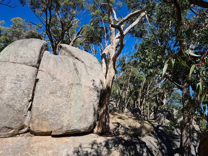 Mount Alexander Regional Park, Harcourt, VIC