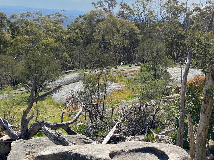 Mount Alexander Regional Park, Harcourt, VIC