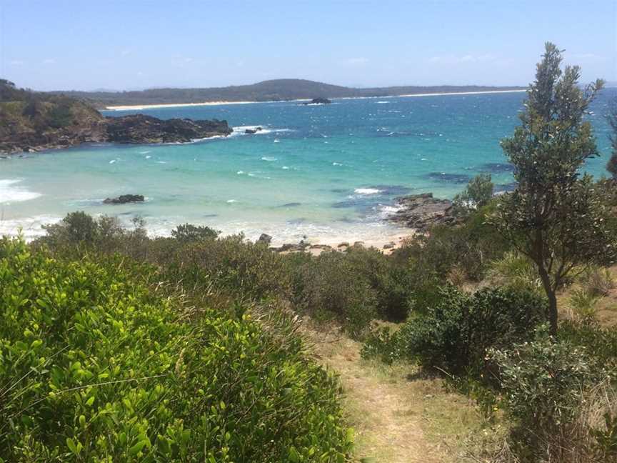 Bingie Beach North, Bingie, NSW