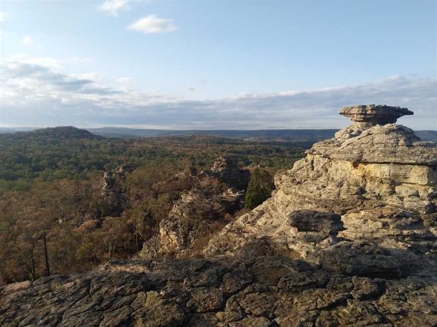 Munghorn Gap Nature Reserve, Munghorn, NSW