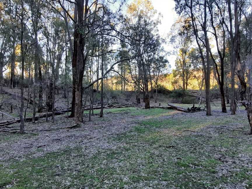 Moolarben picnic area, Munghorn, NSW
