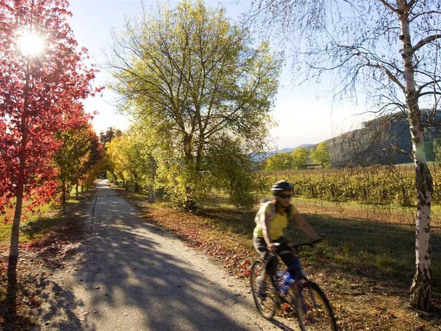 Myrtleford to Porepunkah 24km, Myrtleford, VIC