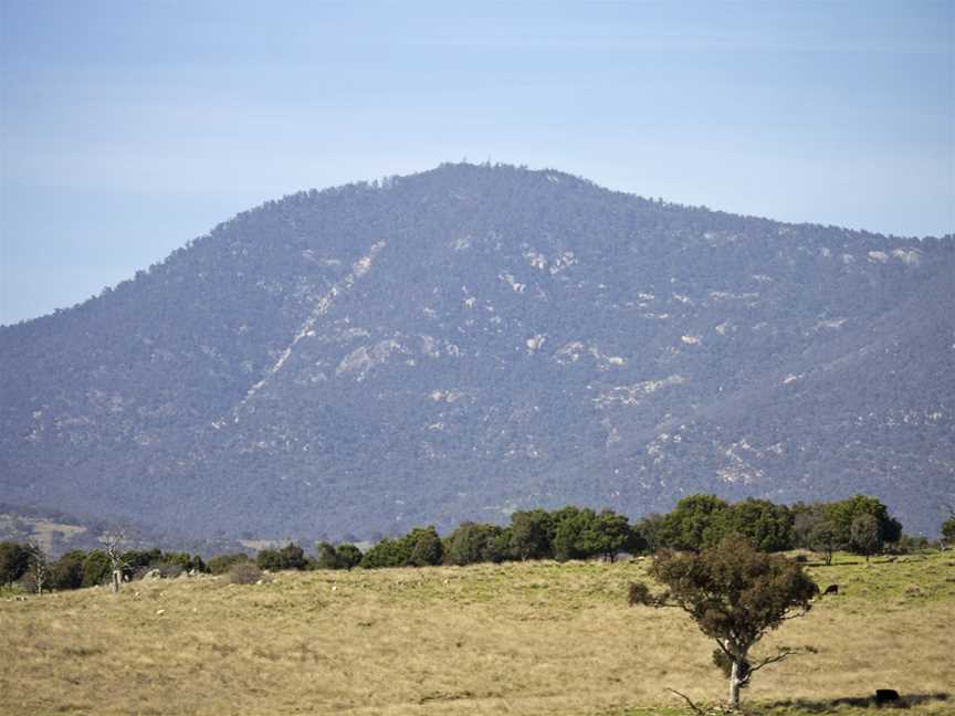 Mt Tennent, Tharwa, ACT