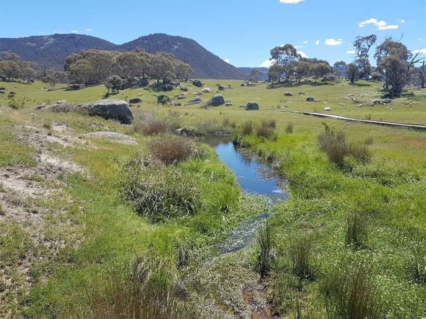 Yankee Hat, Tharwa, ACT