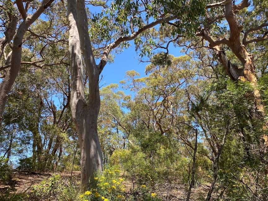 Burragorang lookout and picnic area, Nattai, NSW
