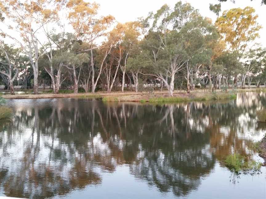 The Wetlands - Wyalong, Wyalong, NSW