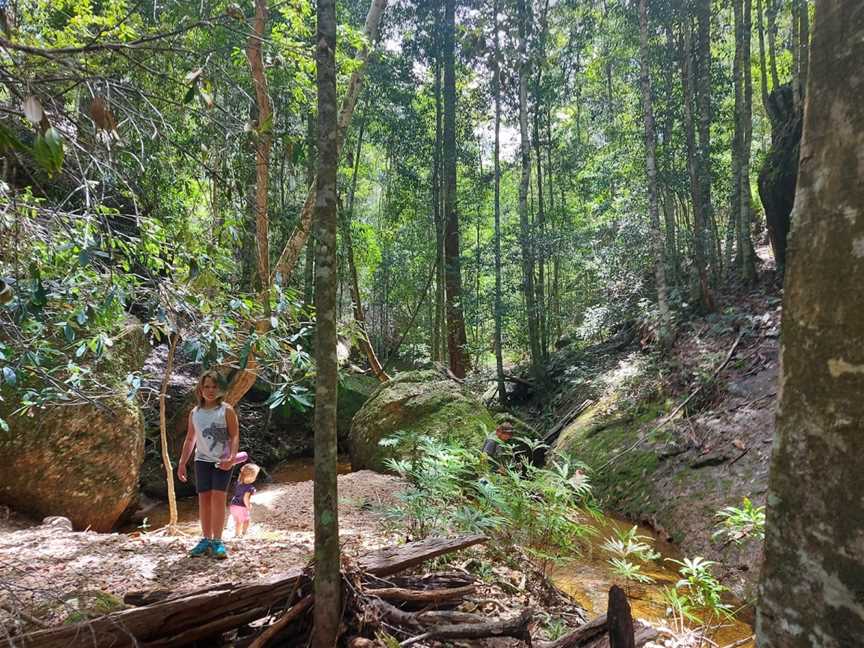 Newbys Creek walk and caves, Lansdowne Forest, NSW