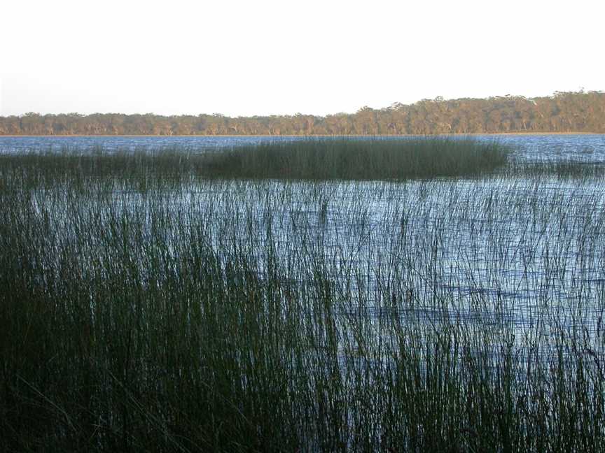 Yuraygir National Park, Minnie Water, NSW
