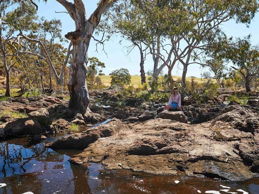 Nigretta Falls, Bochara, VIC