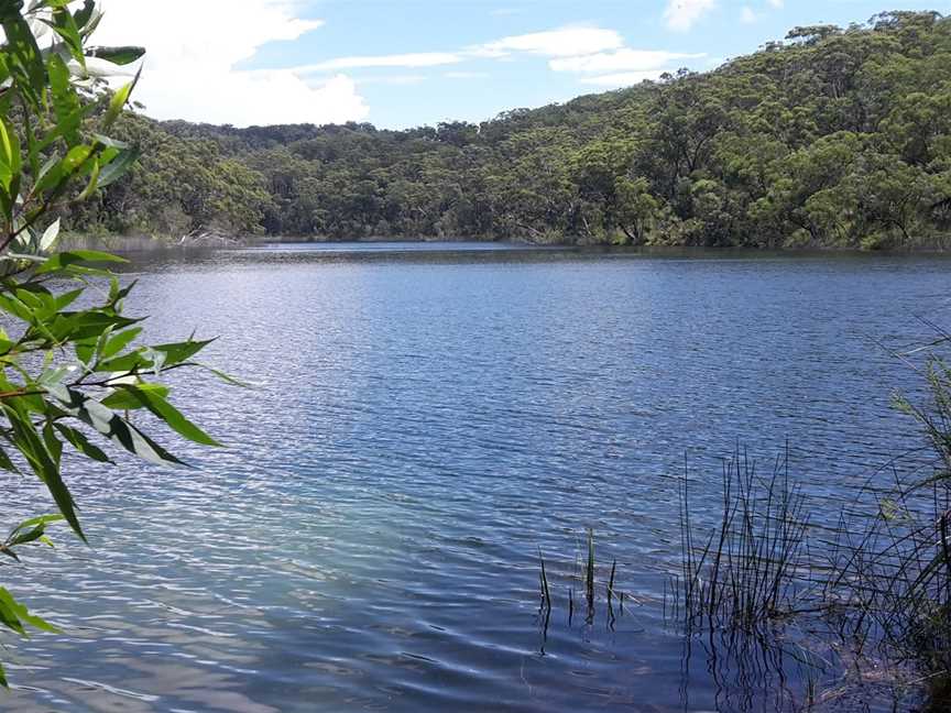 Naree Budjong Djara National Park, North Stradbroke Island, QLD