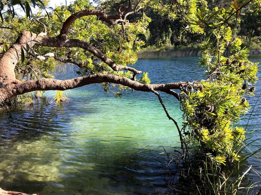 Naree Budjong Djara National Park, North Stradbroke Island, QLD