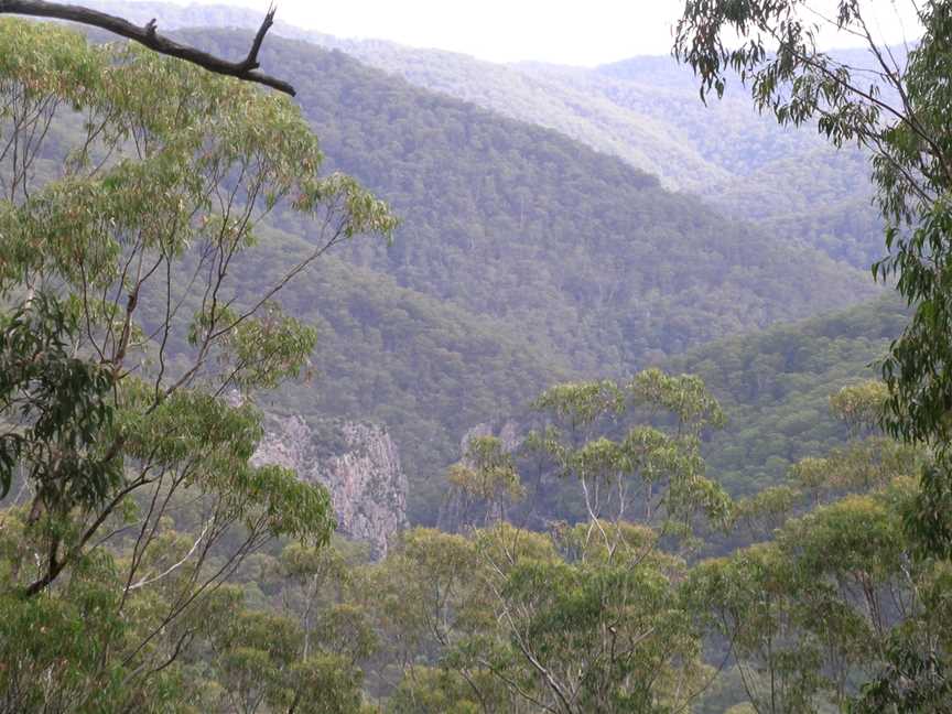 Nowendoc National Park, Nowendoc, NSW