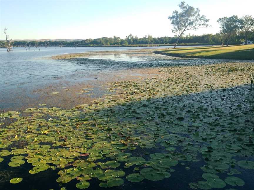 Lily Creek Lagoon, Kununurra, WA