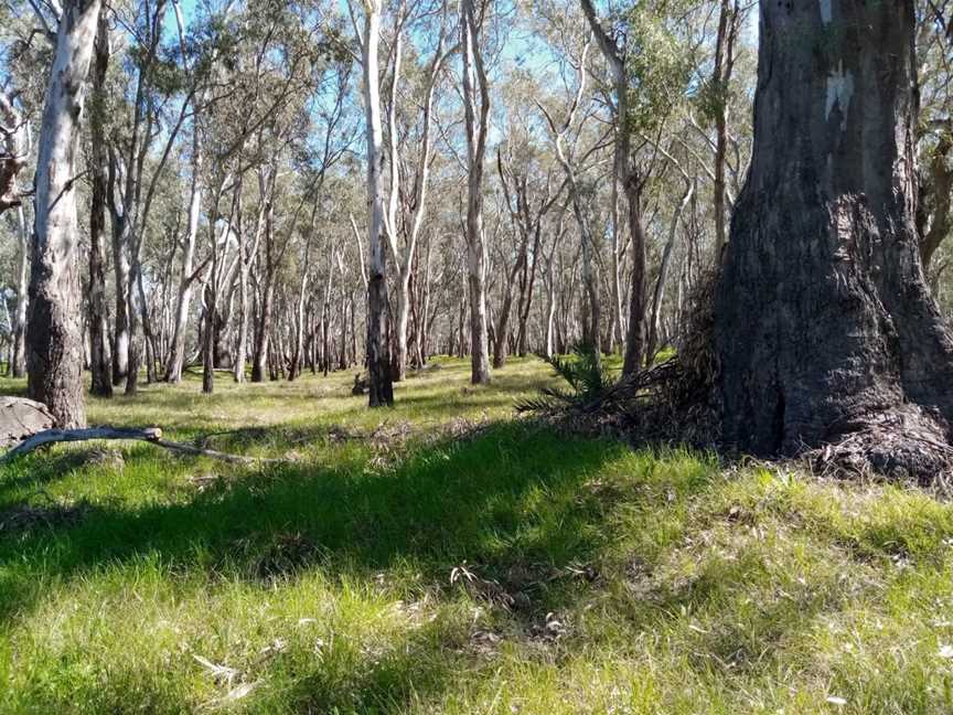 Berembed Weir, Grong Grong, NSW