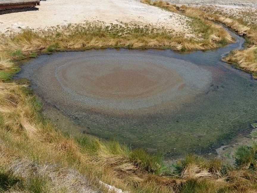 Wabma Kadarbu Mound Springs Conservation Park, Marree, SA