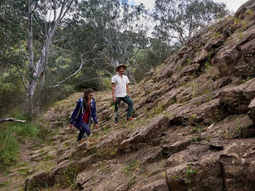 Organ Pipes National Park, Keilor North, VIC