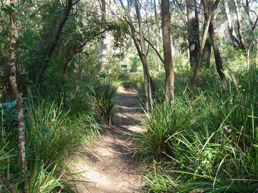 Great North Walk – Ku-ring-gai Chase National Park, Cowan, NSW