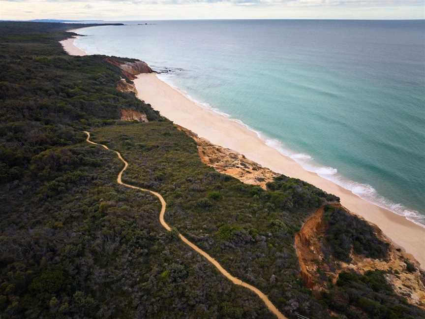 Pinnacles Loop Walking Track, Eden, NSW