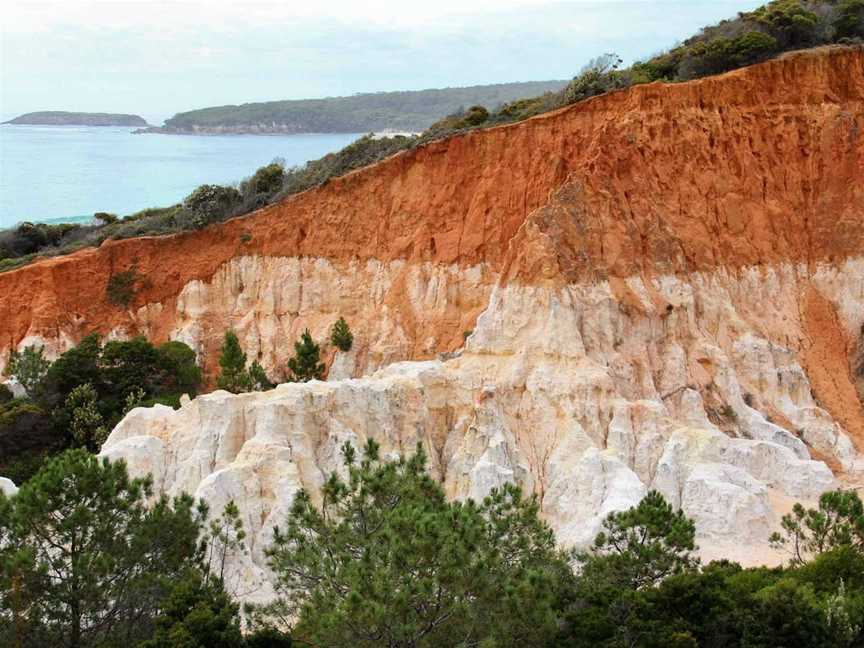 Pinnacles Loop Walking Track, Eden, NSW