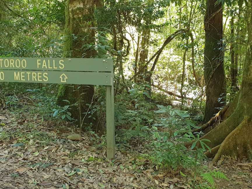 Potoroo Falls walk, Dingo Forest, NSW