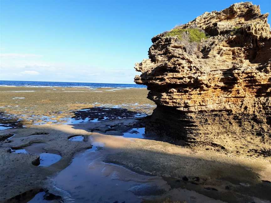 Port Phillip Heads Marine National Park, Portsea, VIC