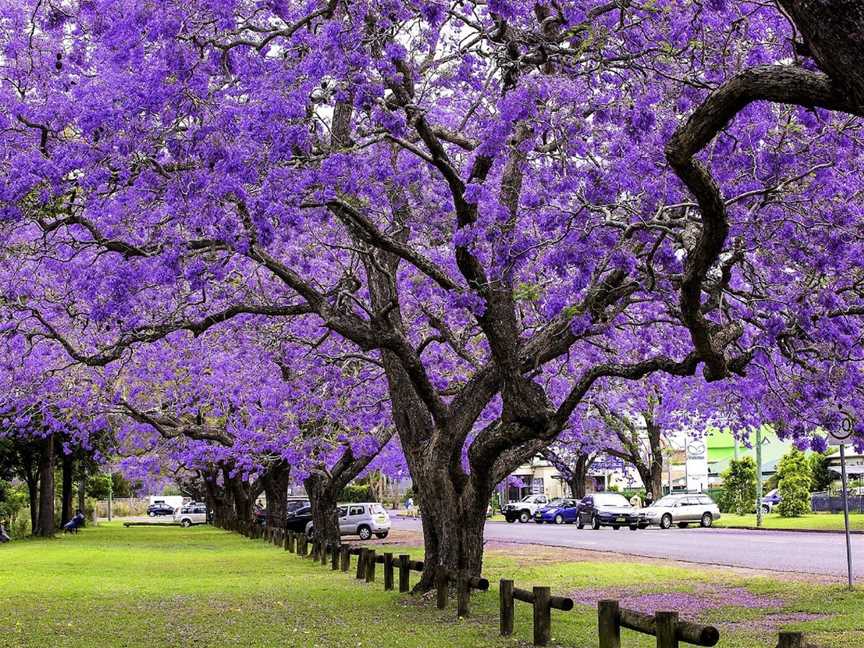 See Park - Grafton, Grafton, NSW