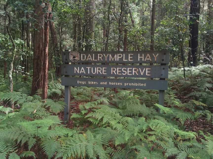 Dalrymple-Hay Nature Reserve, Pymble, NSW