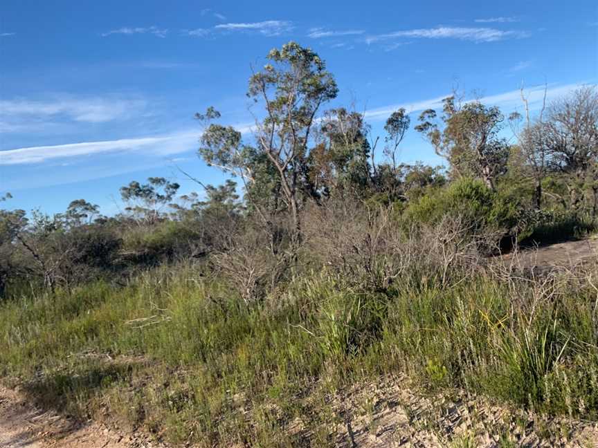 Wentworth Falls to Woodford via Ingar campground, Wentworth Falls, NSW