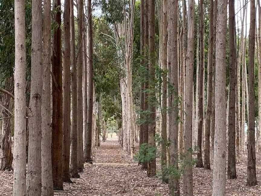 Greenrise Recreational Reserve, Penola, SA