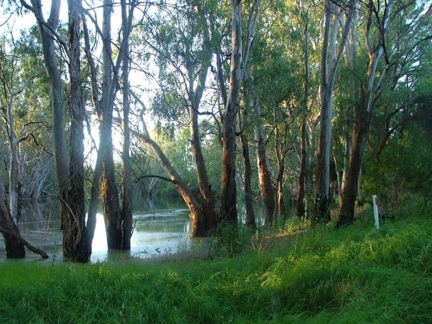 Five Rivers Fishing Trail, Balranald, NSW