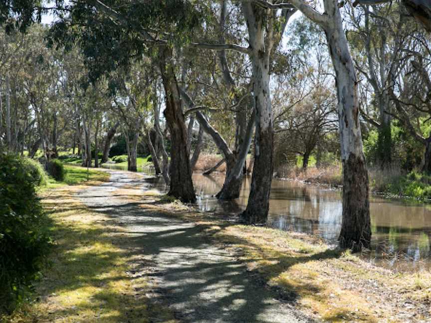 Naracoorte Creek Walk, Naracoorte, SA