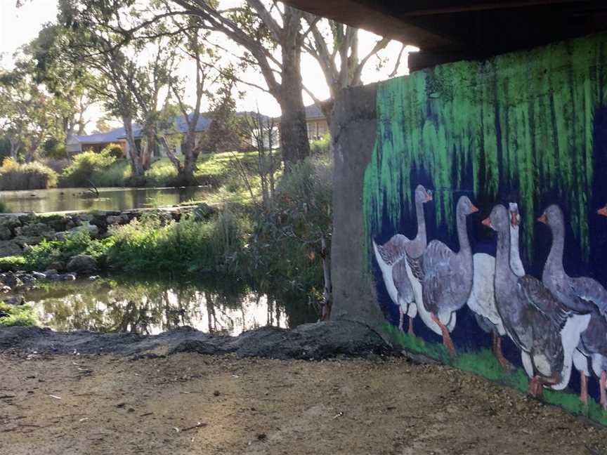 Naracoorte Creek Walk, Naracoorte, SA