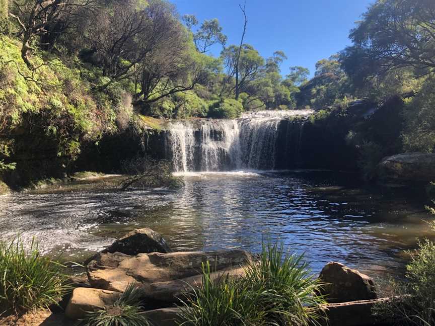 Nellies Glen picnic area, Robertson, NSW