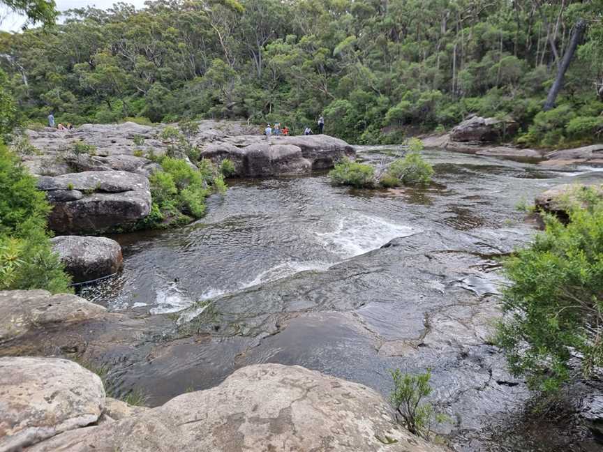 Nellies Glen picnic area, Robertson, NSW