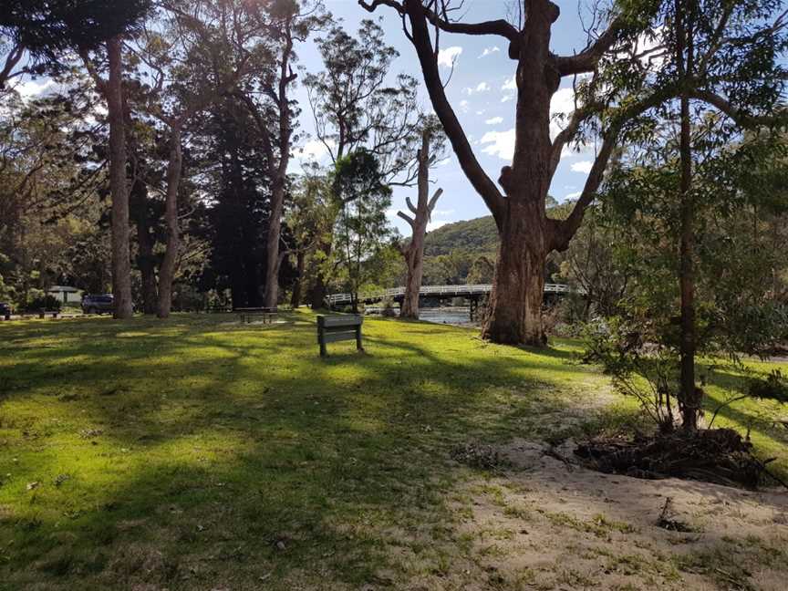 Currawong Flat picnic area, Royal National Park, NSW