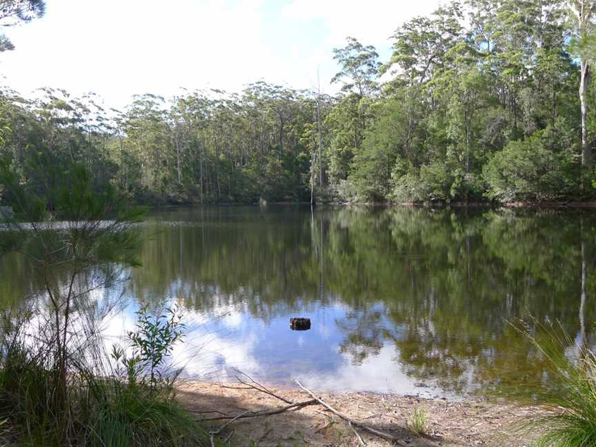 Mount Jerusalem National Park, Rowlands Creek, NSW