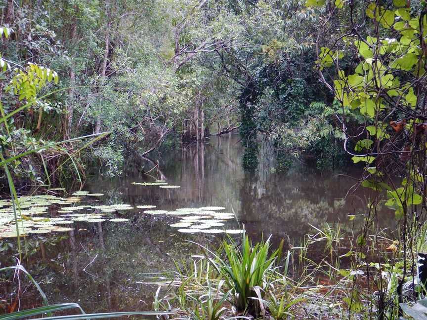 Russell River National Park, Bramston Beach, QLD