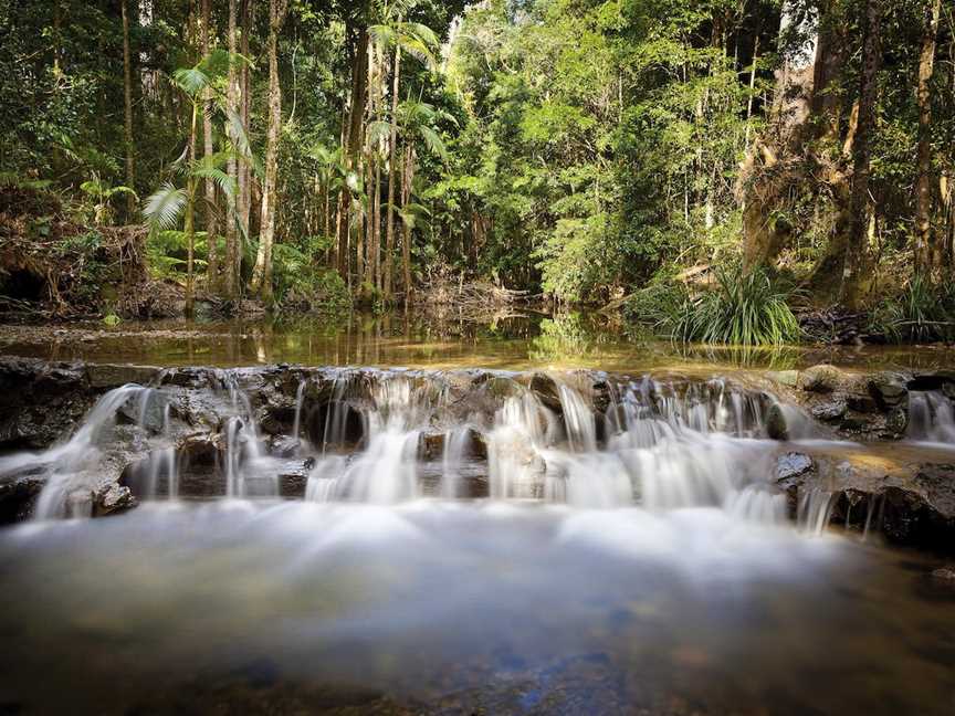 Orara East State Forest, Coffs Harbour, NSW