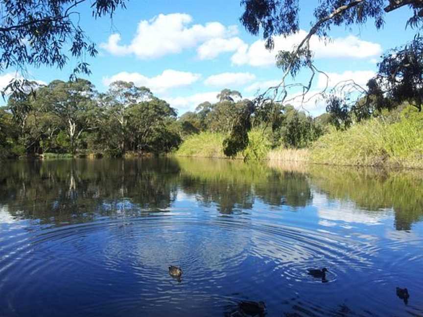 Wittunga Botanic Garden, Adelaide, SA