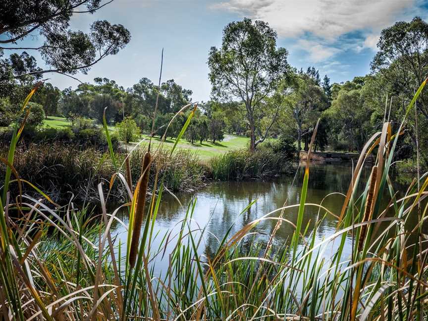 Wittunga Botanic Garden, Adelaide, SA